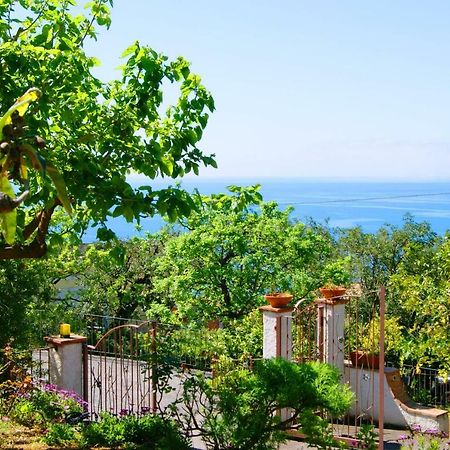 B&B La Casa Del Gelso Acquafredda Eksteriør billede