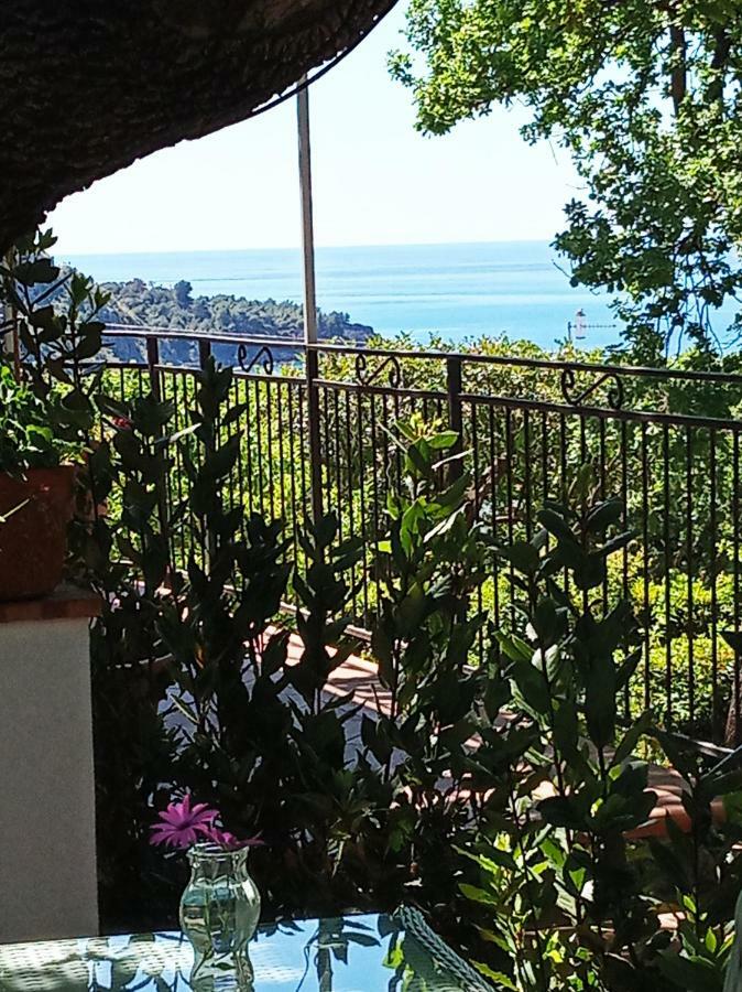 B&B La Casa Del Gelso Acquafredda Eksteriør billede