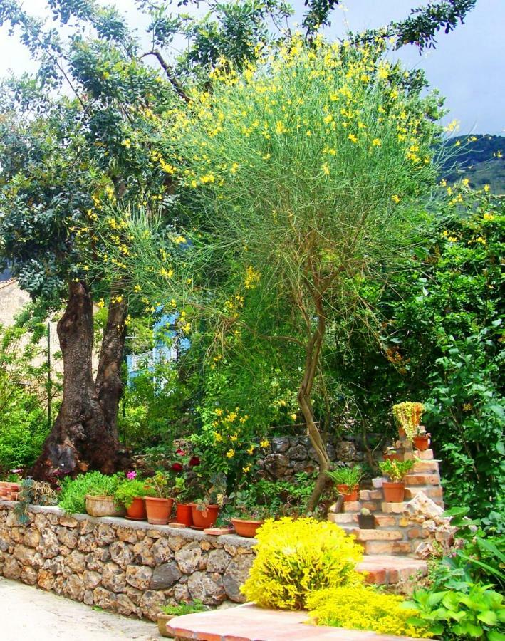 B&B La Casa Del Gelso Acquafredda Eksteriør billede