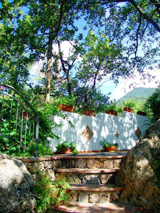 B&B La Casa Del Gelso Acquafredda Eksteriør billede