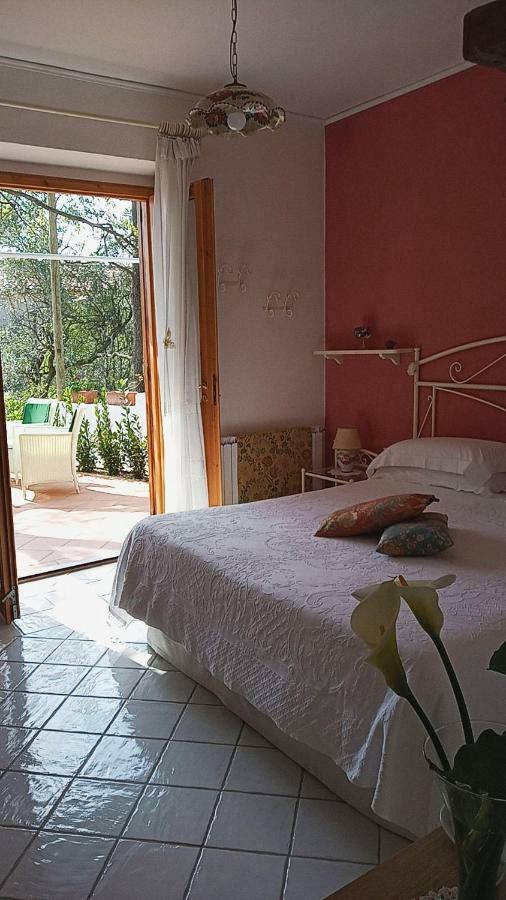 B&B La Casa Del Gelso Acquafredda Eksteriør billede
