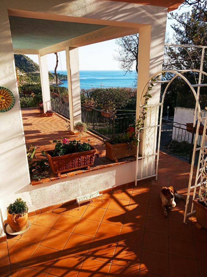 B&B La Casa Del Gelso Acquafredda Eksteriør billede