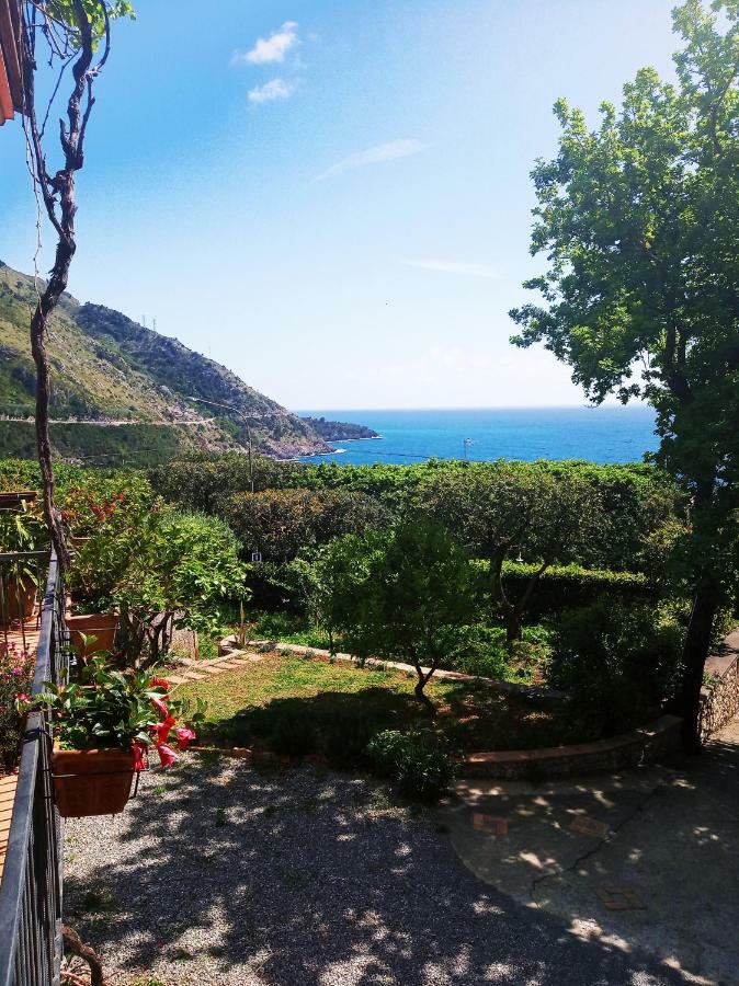 B&B La Casa Del Gelso Acquafredda Eksteriør billede